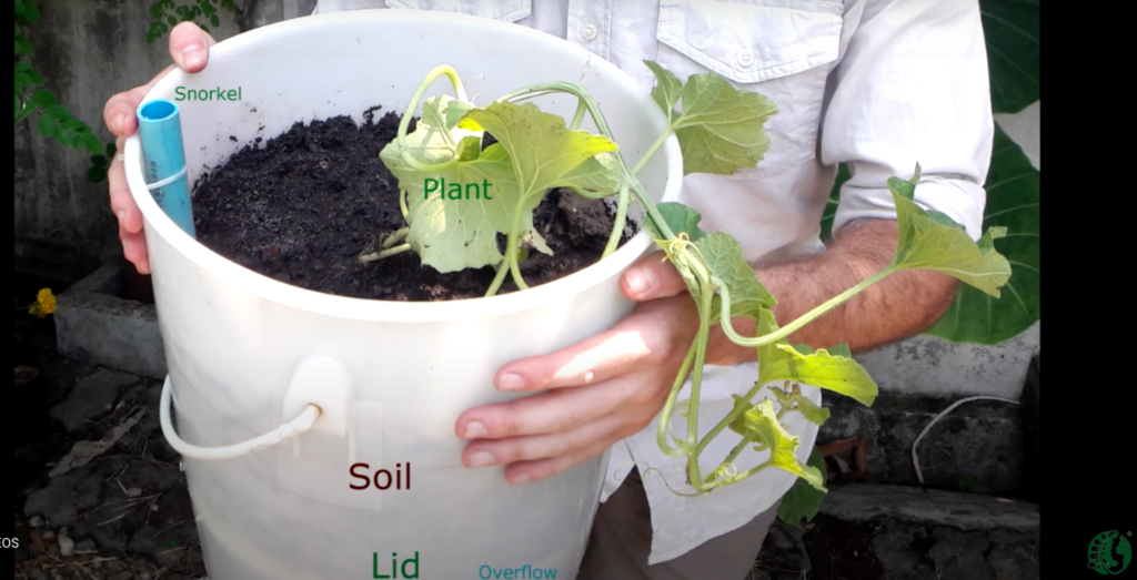 DIY Self-Watering Planter - ECHO